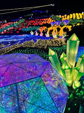 伊豆ぐらんぱる公園に投稿された画像（2023/12/9）