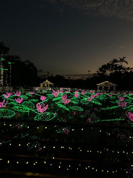 美らヤシパークオキナワ・東南植物楽園に投稿された画像（2023/12/9）