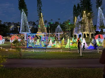 美らヤシパークオキナワ・東南植物楽園に投稿された画像（2023/12/9）
