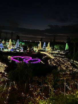 美らヤシパークオキナワ・東南植物楽園に投稿された画像（2023/12/9）