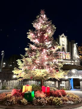 西武園ゆうえんちに投稿された画像（2023/12/9）