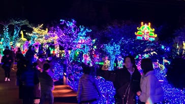 伊豆ぐらんぱる公園に投稿された画像（2023/12/9）