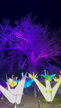 伊豆ぐらんぱる公園に投稿された画像（2023/12/9）