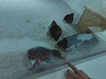 AOAO SAPPOROに投稿された画像（2023/12/9）