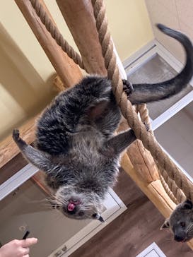 アニタッチ MARK IS 静岡に投稿された画像（2023/12/9）