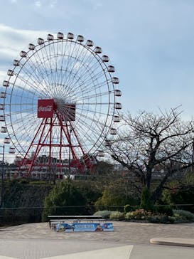 鈴鹿サーキットに投稿された画像（2023/12/1）