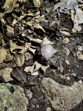 おきなわワールドに投稿された画像（2023/12/10）