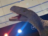 福井県立恐竜博物館に投稿された画像（2023/12/10）
