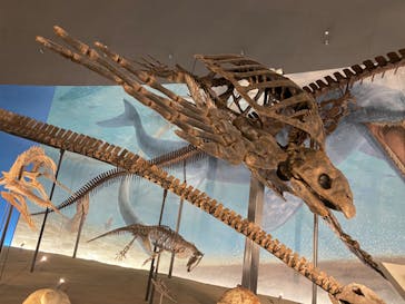 福井県立恐竜博物館に投稿された画像（2023/12/10）