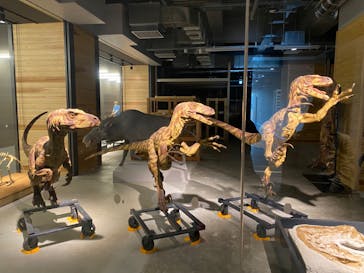 福井県立恐竜博物館に投稿された画像（2023/12/10）
