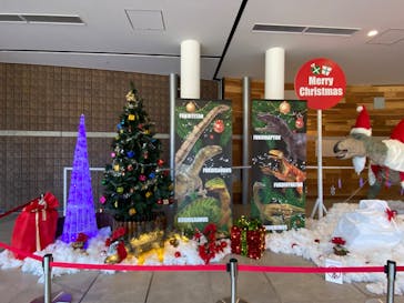 福井県立恐竜博物館に投稿された画像（2023/12/10）