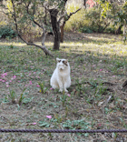 三溪園に投稿された画像（2023/12/10）