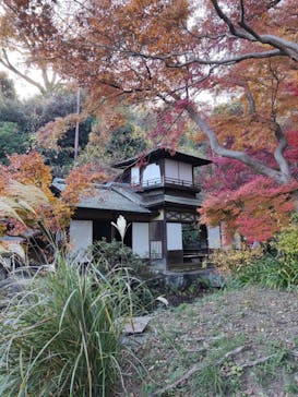 三溪園に投稿された画像（2023/12/10）