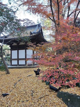 三溪園に投稿された画像（2023/12/10）