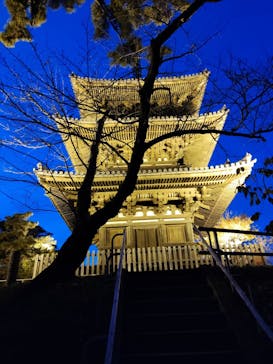 三溪園に投稿された画像（2023/12/10）