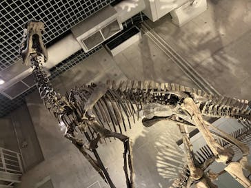 国立科学博物館に投稿された画像（2023/12/9）