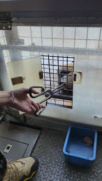 群馬サファリパークに投稿された画像（2023/12/10）