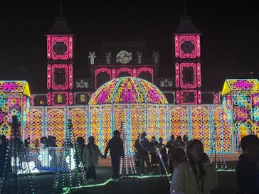 神戸イルミナージュに投稿された画像（2023/12/10）