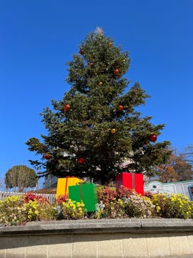 西武園ゆうえんちに投稿された画像（2023/12/10）