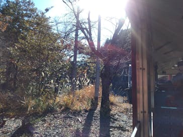 大井川鐵道株式会社に投稿された画像（2023/12/10）