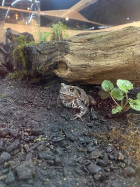 京都水族館に投稿された画像（2023/12/10）