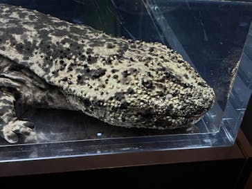 京都水族館に投稿された画像（2023/12/10）