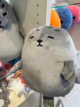 京都水族館に投稿された画像（2023/12/10）