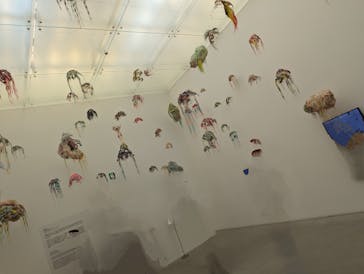 金沢21世紀美術館に投稿された画像（2023/12/10）