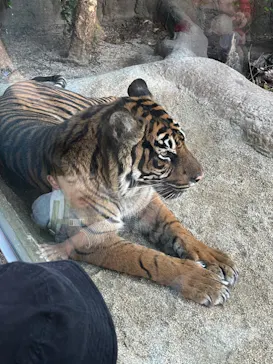 神戸どうぶつ王国に投稿された画像（2023/12/10）