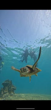 宮古島 ADVENTURE PiPi（ミヤコジマ アドベンチャー ピピ）に投稿された画像（2023/12/10）