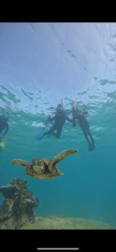 宮古島 ADVENTURE PiPi（ミヤコジマ アドベンチャー ピピ）に投稿された画像（2023/12/10）