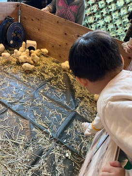 第13回大阪モーターショーに投稿された画像（2023/12/10）