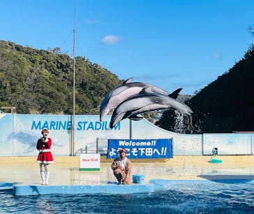 下田海中水族館に投稿された画像（2023/12/10）