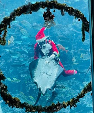 下田海中水族館に投稿された画像（2023/12/10）