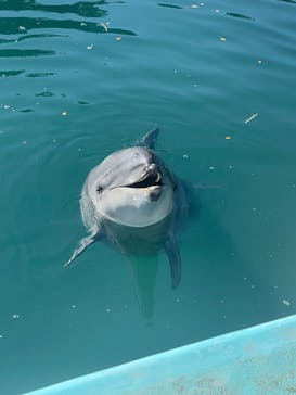 下田海中水族館に投稿された画像（2023/12/10）