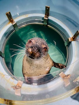 下田海中水族館に投稿された画像（2023/12/10）