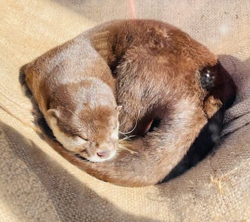 下田海中水族館に投稿された画像（2023/12/10）