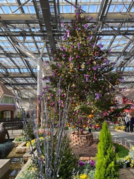 安城産業文化公園デンパークに投稿された画像（2023/12/10）