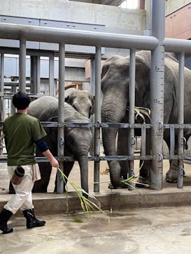 名古屋市東山動植物園に投稿された画像（2023/12/10）