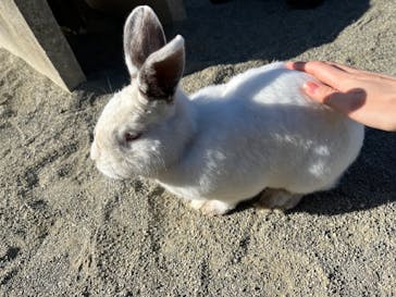 群馬サファリパークに投稿された画像（2023/12/10）