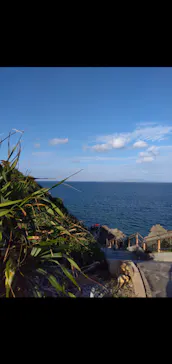 武藤潜水に投稿された画像（2023/12/10）