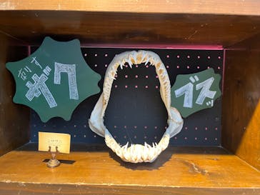 マリンワールド海の中道に投稿された画像（2023/12/10）