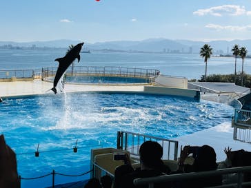 マリンワールド海の中道に投稿された画像（2023/12/10）