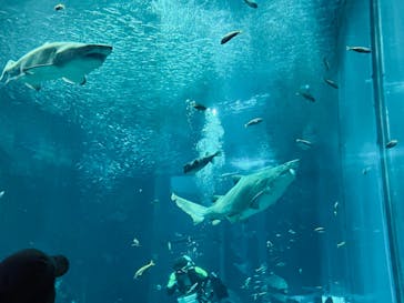 マリンワールド海の中道に投稿された画像（2023/12/10）