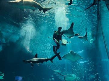 マリンワールド海の中道に投稿された画像（2023/12/10）