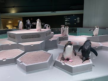 AOAO SAPPOROに投稿された画像（2023/12/10）