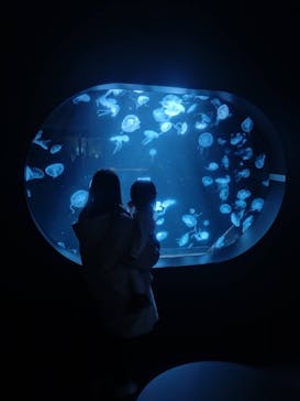 AOAO SAPPOROに投稿された画像（2023/12/10）