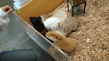 Moff アニマル カフェ イーアス 高尾店に投稿された画像（2023/12/10）