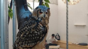 Moff アニマル カフェ イーアス 高尾店に投稿された画像（2023/12/10）