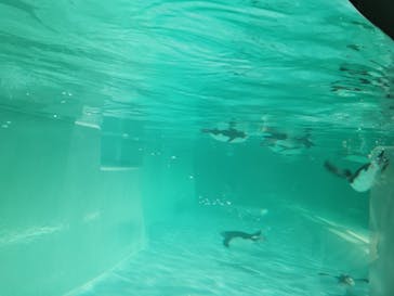 AOAO SAPPOROに投稿された画像（2023/12/10）